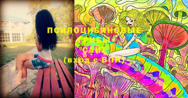 PSILOCYBIN Михайловск